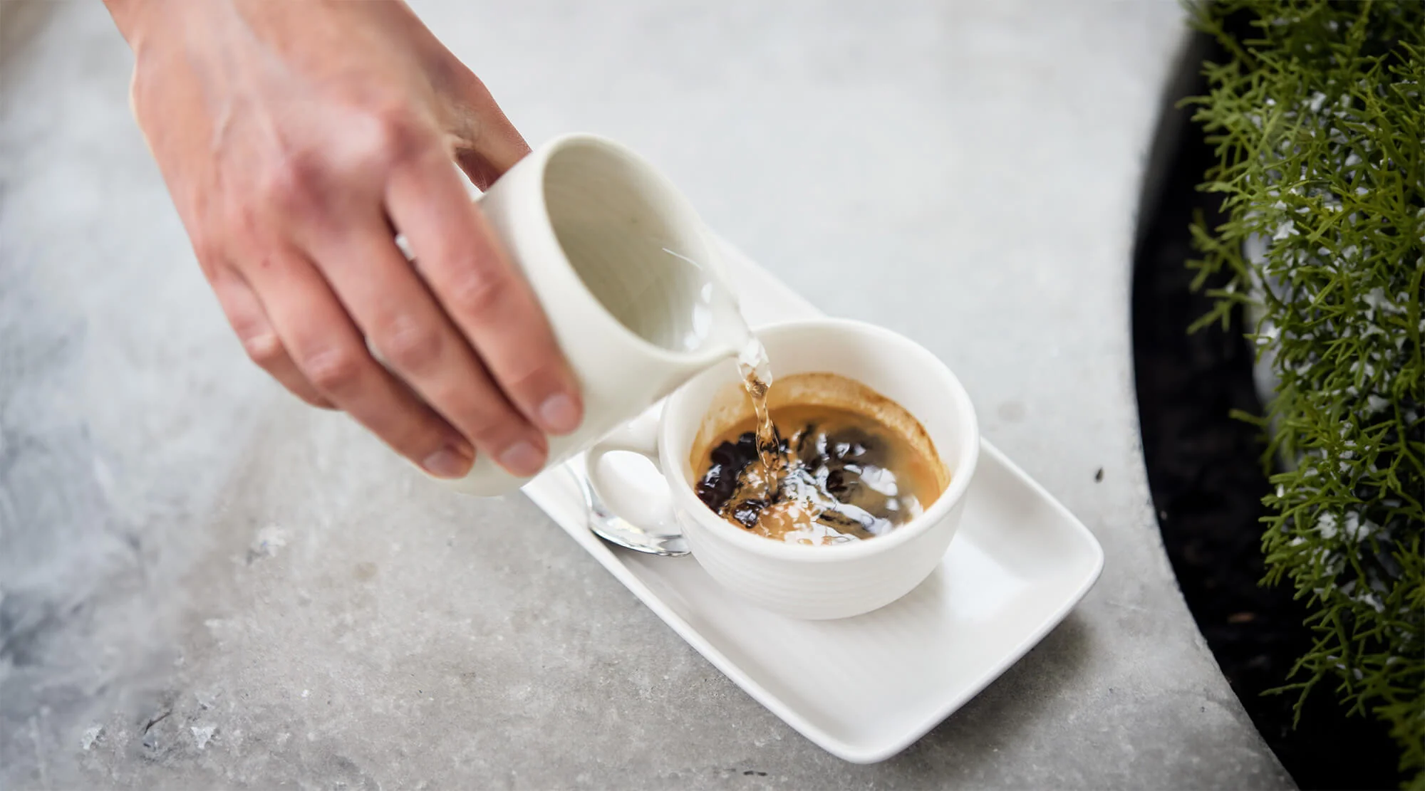 Espresso Single Origin Roaster's Pick - Image 2